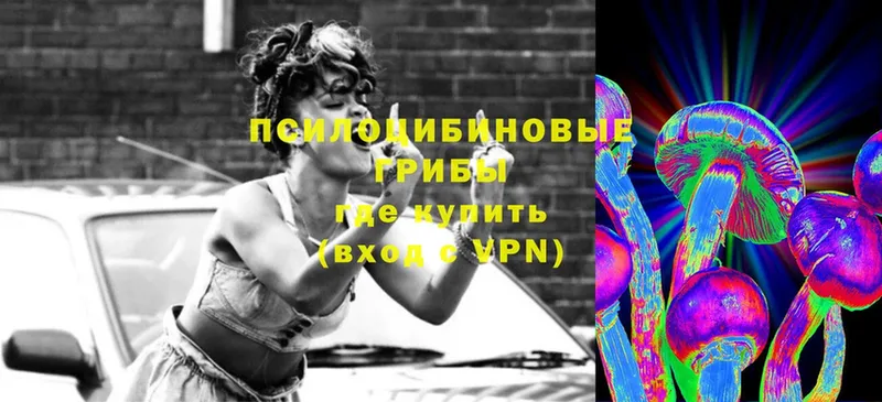 Псилоцибиновые грибы Magic Shrooms  Пикалёво 